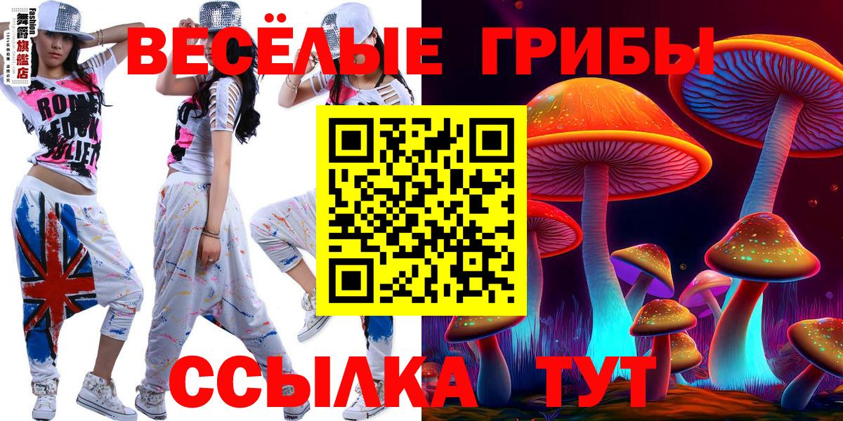 Псилоцибиновые грибы MAGIC MUSHROOMS  Псилоцибиновые грибы MAGIC MUSHROOMS  Осинники  Вход с VPN 